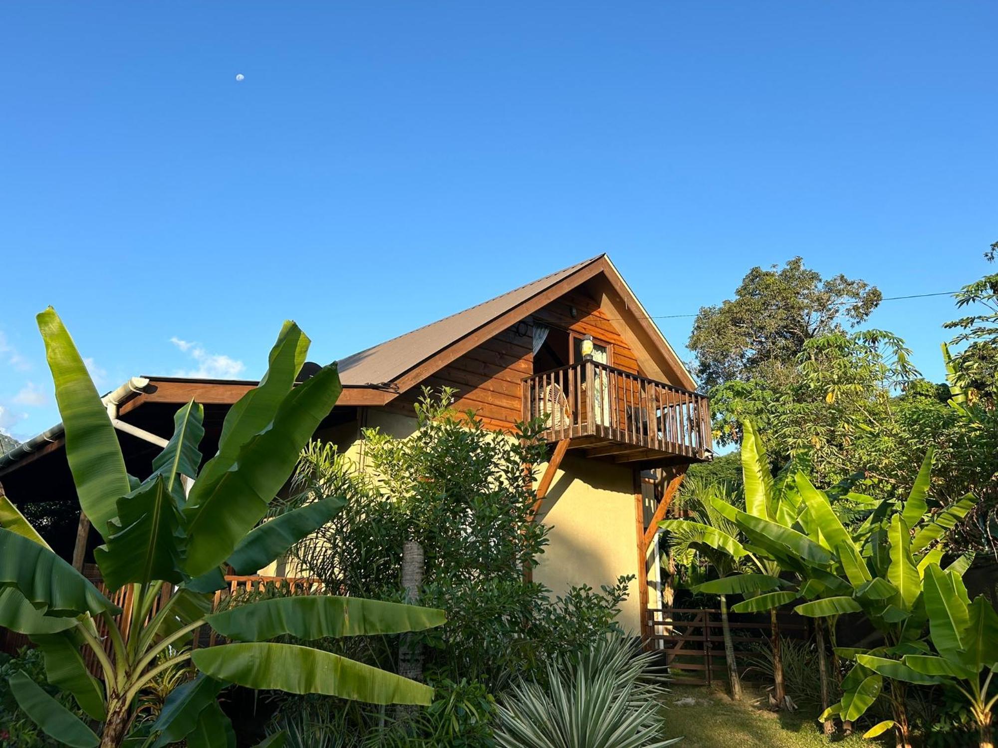 A Peace In Paradise Anse Royale Exterior foto