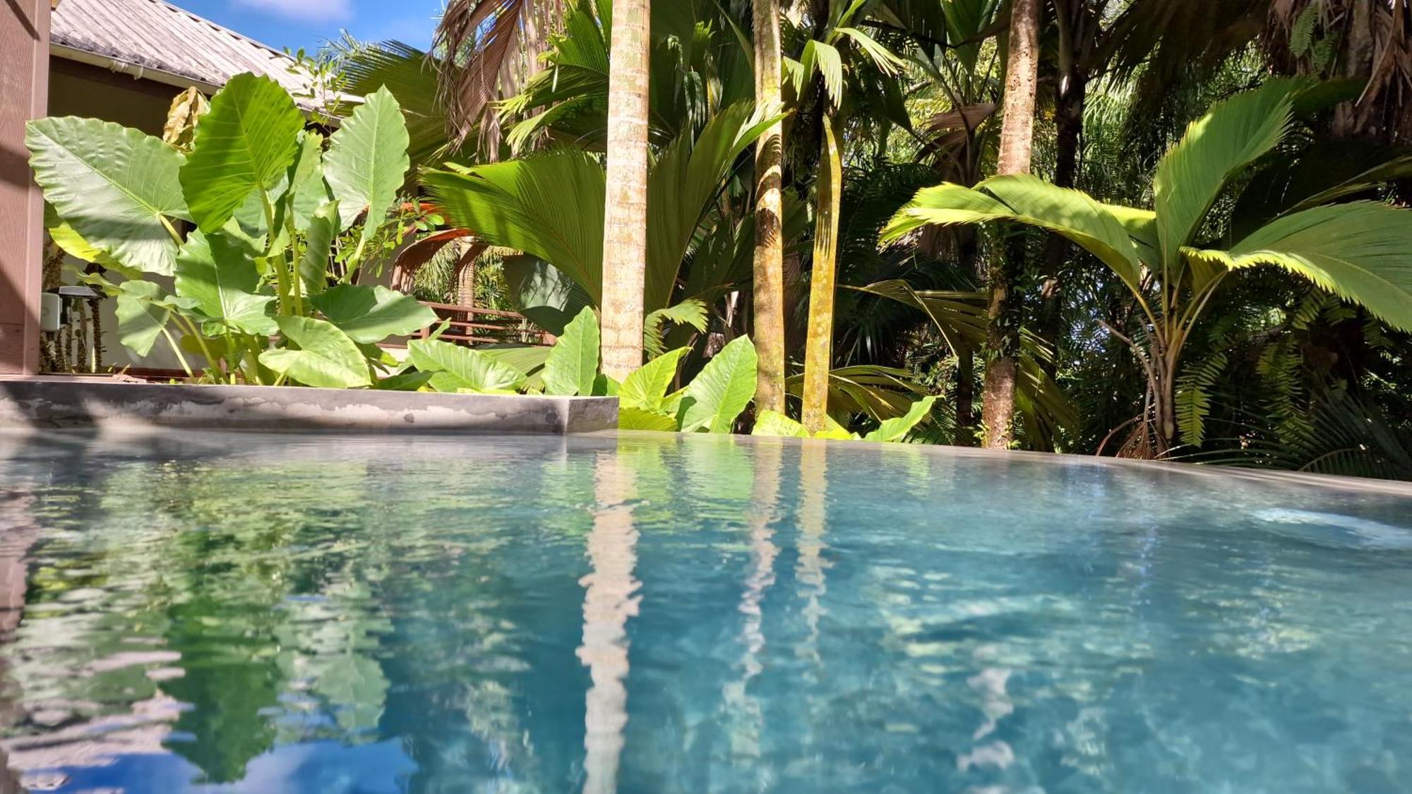 A Peace In Paradise Anse Royale Exterior foto